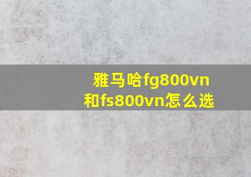 雅马哈fg800vn和fs800vn怎么选