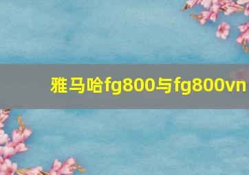 雅马哈fg800与fg800vn