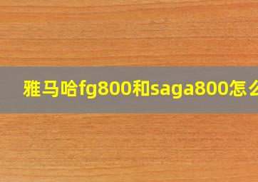 雅马哈fg800和saga800怎么选