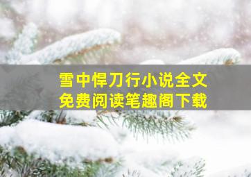 雪中悍刀行小说全文免费阅读笔趣阁下载