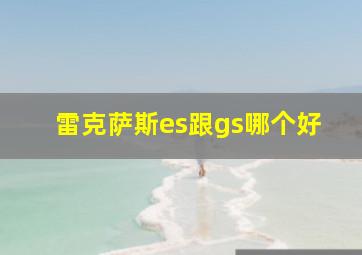 雷克萨斯es跟gs哪个好