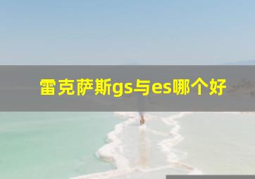 雷克萨斯gs与es哪个好