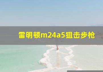 雷明顿m24a5狙击步枪