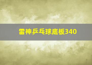 雷神乒乓球底板340