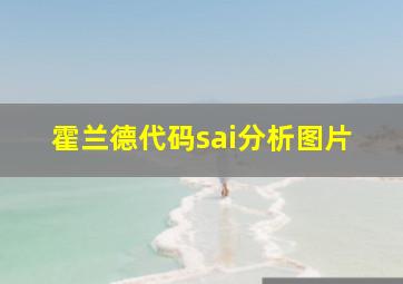 霍兰德代码sai分析图片