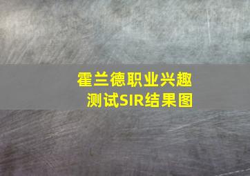 霍兰德职业兴趣测试SIR结果图