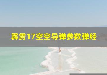 霹雳17空空导弹参数弹经