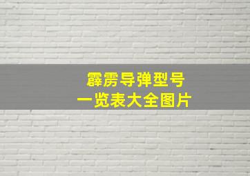 霹雳导弹型号一览表大全图片