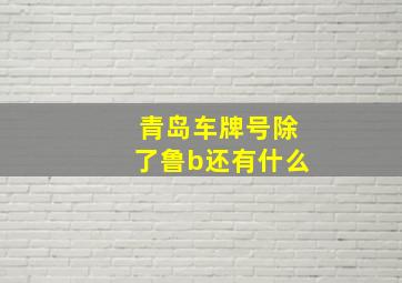 青岛车牌号除了鲁b还有什么