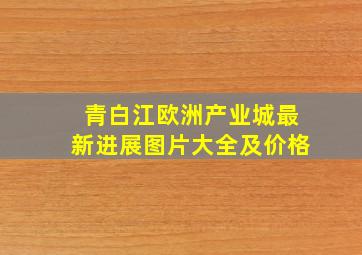 青白江欧洲产业城最新进展图片大全及价格