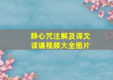 静心咒注解及译文读诵视频大全图片