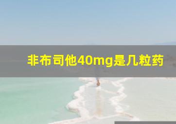 非布司他40mg是几粒药