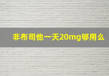 非布司他一天20mg够用么