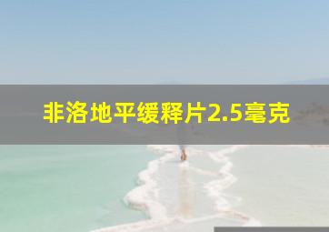 非洛地平缓释片2.5毫克