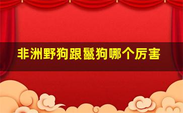 非洲野狗跟鬣狗哪个厉害