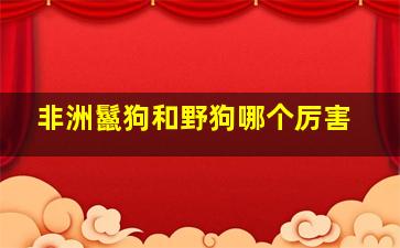 非洲鬣狗和野狗哪个厉害