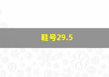 鞋号29.5