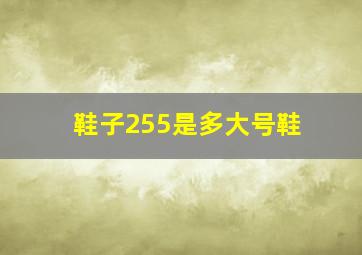 鞋子255是多大号鞋