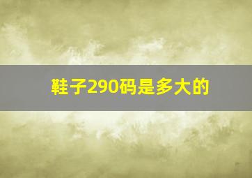 鞋子290码是多大的