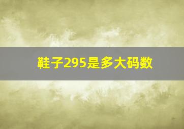 鞋子295是多大码数