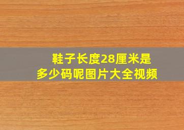 鞋子长度28厘米是多少码呢图片大全视频