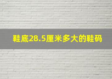 鞋底28.5厘米多大的鞋码