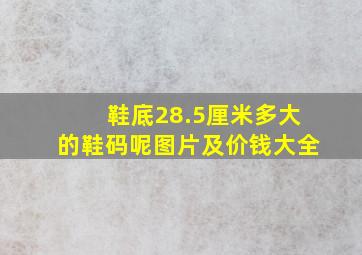 鞋底28.5厘米多大的鞋码呢图片及价钱大全