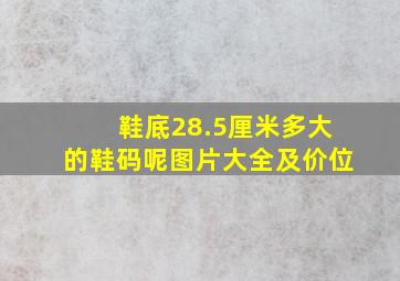 鞋底28.5厘米多大的鞋码呢图片大全及价位