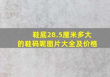 鞋底28.5厘米多大的鞋码呢图片大全及价格