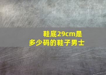 鞋底29cm是多少码的鞋子男士