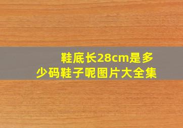 鞋底长28cm是多少码鞋子呢图片大全集