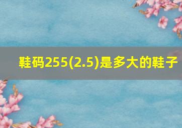 鞋码255(2.5)是多大的鞋子