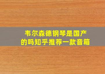 韦尔森德钢琴是国产的吗知乎推荐一款音箱