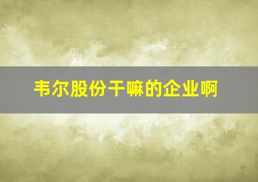 韦尔股份干嘛的企业啊