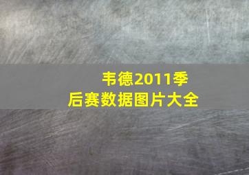 韦德2011季后赛数据图片大全