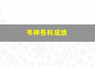 韦神各科成绩