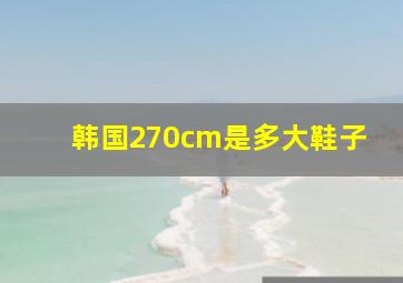 韩国270cm是多大鞋子