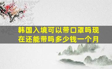 韩国入境可以带口罩吗现在还能带吗多少钱一个月