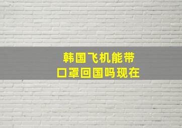 韩国飞机能带口罩回国吗现在