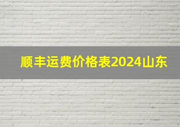 顺丰运费价格表2024山东