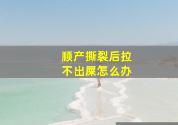 顺产撕裂后拉不出屎怎么办