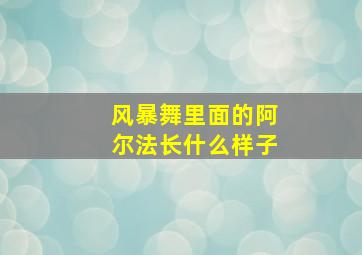 风暴舞里面的阿尔法长什么样子