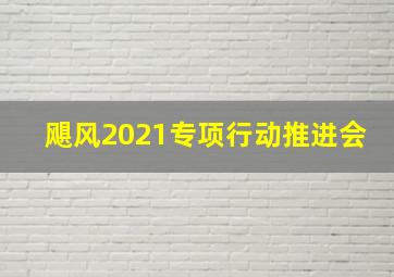 飓风2021专项行动推进会