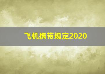 飞机携带规定2020