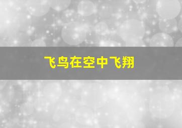 飞鸟在空中飞翔