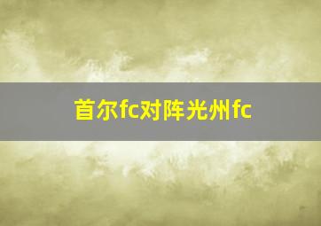 首尔fc对阵光州fc