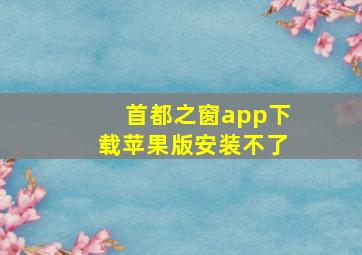 首都之窗app下载苹果版安装不了