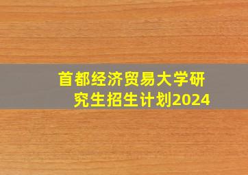 首都经济贸易大学研究生招生计划2024