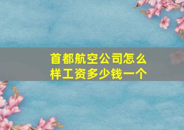 首都航空公司怎么样工资多少钱一个