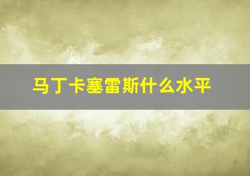 马丁卡塞雷斯什么水平